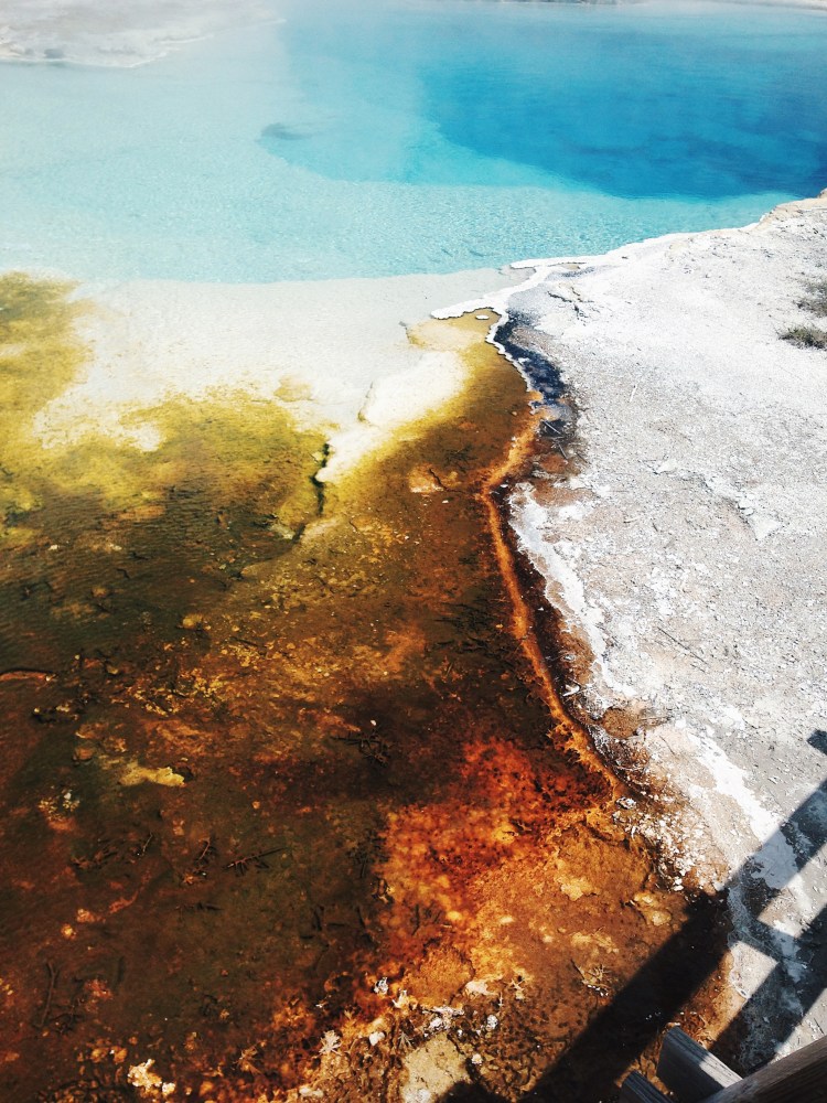 Processed with VSCO with hb2 preset