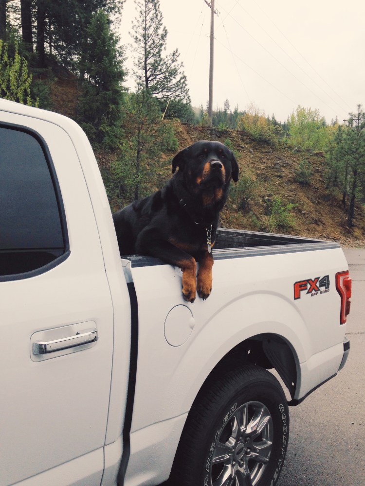 Processed with VSCOcam with g3 preset